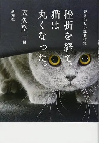 挫折を経て、猫は丸くなったの表紙