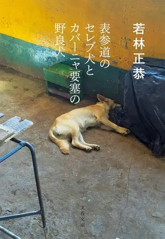 表参道のセレブ犬とカバーニャ要塞の野良犬の表紙